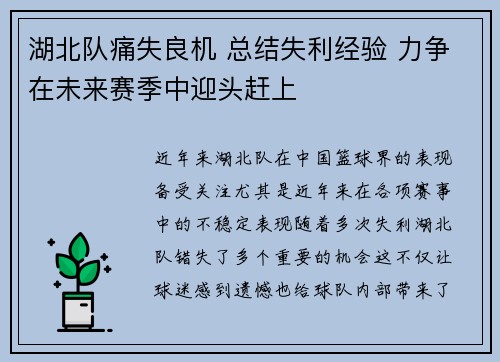 湖北队痛失良机 总结失利经验 力争在未来赛季中迎头赶上