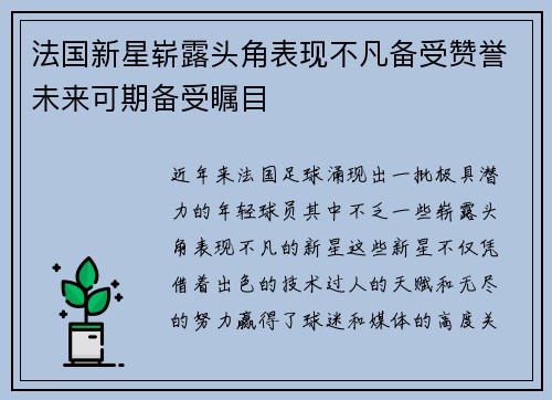 法国新星崭露头角表现不凡备受赞誉未来可期备受瞩目